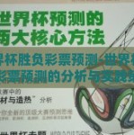 世界杯胜负彩票预测-世界杯胜负彩票预测的分析与实践策略