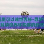 在哪里可以赌世界杯-寻梦绿茵，解读世界杯观赛的新世态