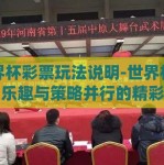 世界杯彩票玩法说明-世界杯彩票，乐趣与策略并行的精彩一役