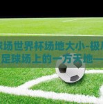 足球场世界杯场地大小-极尽绿茵，足球场上的一方天地——世界杯场地大小探秘