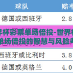世界杯彩票单场倍投-世界杯彩票单场倍投的智慧与风险考量