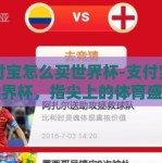 支付宝怎么买世界杯-支付宝购世界杯，指尖上的体育盛宴