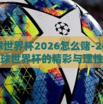 足球世界杯2026怎么赌-2026年足球世界杯的精彩与理性，迎接新时代的策略浅析