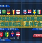 世界杯竞猜的什么软件-探索世界杯竞猜新纪元，软件平台的全方位解析