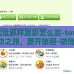 微信世界杯足彩怎么买-toward成功之路，踢开旅程-微信世界杯足彩的购彩指南