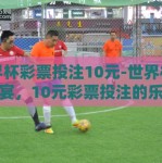 世界杯彩票投注10元-世界杯足球盛宴，10元彩票投注的乐趣与激情