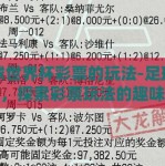 足球世界杯彩票的玩法-足球世界杯，探索彩票玩法的趣味与魅力