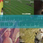 微信世界杯营销模块-微信世界杯营销模块，社交媒体平台上的精彩战役