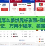 微信怎么美世界杯彩票-微信实战手记，巧用小程序，领略世界杯彩票的魅力