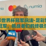 足彩世界杯冠军玩法-足彩世界杯冠军，挑战者们的终极乐章