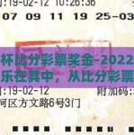 世界杯比分彩票奖金-2022世界杯，乐在其中，从比分彩票到奖金狂欢的旅程