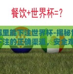 在哪里能下注世界杯-揭秘世界杯下注的正确渠道，安全观赛，理性投注