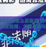 世界杯彩票怎么买靠谱-世界杯彩票购买指南，关键要素与慎重选择