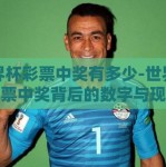 世界杯彩票中奖有多少-世界杯彩票中奖背后的数字与现实
