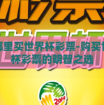 在哪里买世界杯彩票-购买世界杯彩票的明智之选