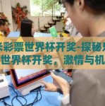 乐米彩票世界杯开奖-探秘乐米彩票世界杯开奖，激情与机遇共舞的夜晚