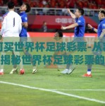 如何买世界杯足球彩票-从容入场，揭秘世界杯足球彩票的购买指南