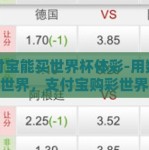 支付宝能买世界杯体彩-用数字解读世界，支付宝购彩世界杯体彩的便捷与洞见