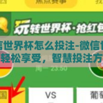 微信世界杯怎么投注-微信世界杯，轻松享受，智慧投注方程式