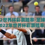 2022世界杯彩票赔率-足球盛世，2022年世界杯彩票赔率深度分析