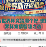微信世界杯竞猜哪个好-微信世界杯竞猜智趣之选
