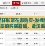 世界杯彩票在哪购买-发掘世界杯彩票的购买路径，合法渠道与便捷方案
