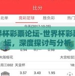 世界杯彩票论坛-世界杯彩票论坛，深度探讨与分析