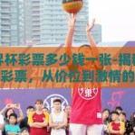 世界杯彩票多少钱一张-揭秘世界杯彩票，从价位到激情的飞跃