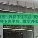 支付宝世界杯下注平台-支付宝世界杯下注平台，数字时代的球迷新选择