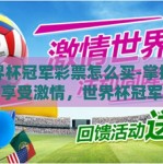 世界杯冠军彩票怎么买-掌握技巧，享受激情，世界杯冠军彩票的购买指南