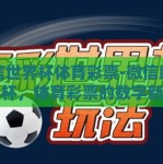 微信世界杯体育彩票-微信助力世界杯，体育彩票的数字新篇章