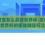 支付宝怎么买球世界杯-支付宝购球世界杯的便捷路径与注意事项