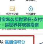 支付宝怎么买世界杯-支付宝购买世界杯观赛指南