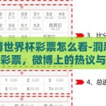 微博世界杯彩票怎么看-洞悉世界杯彩票，微博上的热议与理性分析