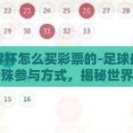 世界杯怎么买彩票的-足球盛宴的特殊参与方式，揭秘世界杯彩票购彩技巧