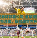 印世界杯彩票公司-全球视野下的独特注脚，探究印世界杯彩票公司的技术创新与市场影响力