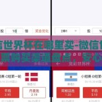 微信世界杯在哪里买-微信世界杯彩票购买渠道盘点，安心选择，理性投注