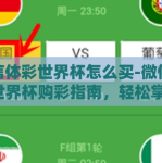 微信体彩世界杯怎么买-微信体彩世界杯购彩指南，轻松掌握，乐趣无限
