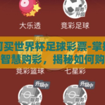 如何买世界杯足球彩票-掌握技巧，智慧购彩，揭秘如何购买世界杯足球彩票