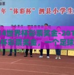 2014世界杯彩票奖金-2014年世界杯彩票奖金，一个足球狂欢节的经济脉动与个人梦想的碰撞