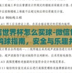 微信世界杯怎么买球-微信世界杯购球指南，安全与乐趣并进