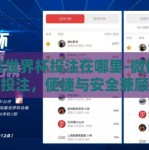 微信世界杯投注在哪里-微信世界杯投注，便捷与安全兼顾的数字化娱乐选择