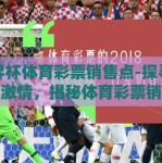 世界杯体育彩票销售点-探寻世界杯激情，揭秘体育彩票销售点的热血动力
