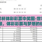 世界杯体彩彩票中奖图-世界杯狂潮，体彩彩票与梦想的碰撞