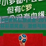 2014世界杯彩票奖金-2014年世界杯彩票奖金，激情与挑战的交织