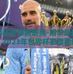 世界杯彩票猜输赢-揭示足球狂热，2023年世界杯彩票猜输赢的艺术与智慧