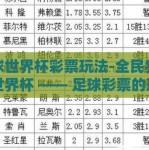 足球世界杯彩票玩法-全民狂热的世界杯 —— 足球彩票的玩法指南