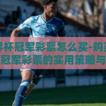 世界杯冠军彩票怎么买-购买世界杯冠军彩票的实用策略与技巧
