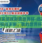 我要买足球彩票世界杯-选择梦想，投注未来，我的世界杯足球彩票之旅