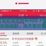 天天爱彩票世界杯app下载-解锁竞彩新视野，天天爱彩票世界杯APP的下载乐趣与安全指南